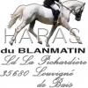 Haras Blanmatin